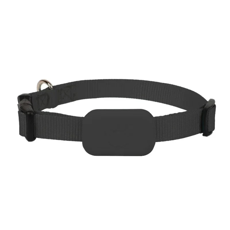 Mini Waterproof GPS Pet Tracker Collar – Real-Time Location & Movement Alert for Dogs & Cats