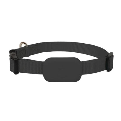 Mini Waterproof GPS Pet Tracker Collar – Real-Time Location & Movement Alert for Dogs & Cats