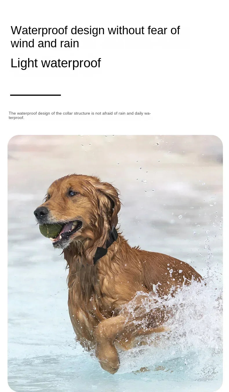 Mini Waterproof GPS Pet Tracker Collar – Real-Time Location & Movement Alert for Dogs & Cats
